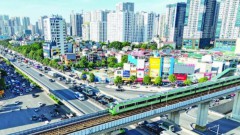 Chinese investment inflow becoming stronger with higher quality: Insiders