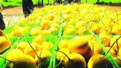 Understanding the regulations to stand firm in the export market