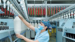 Greening Supply Chains