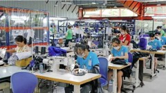 Vietnam enjoys stable economic rebound so far