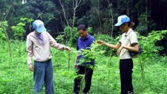 Carbon credit market to benefit exporters: insiders