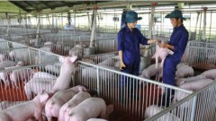 No worries about food shortages at year-end