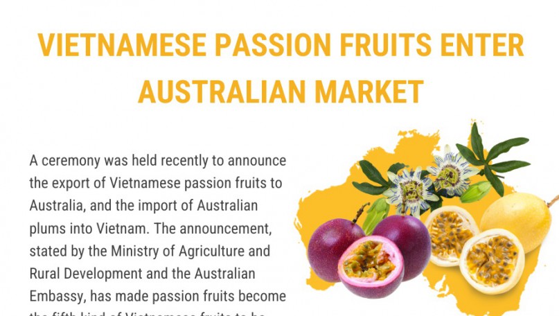 Vietnamese passion fruits enter Australian market