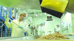 Turning by-products into high-value export products