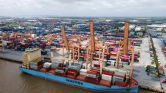 Positive signals for exports in remaining months of 2024