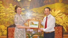 Promoting Vietnam-New Zealand Cooperation