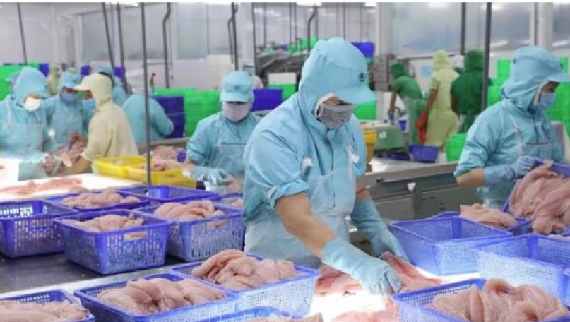 Vietnam’s fishery exports expected to hit 10 billion USD in 2024