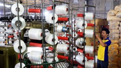 Self-sufficiency in raw materials critical for garment, footwear