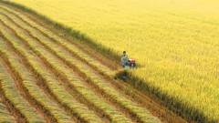 Advancing Sustainable Agriculture