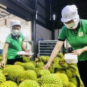 Vietnam's trade turnover poised to hit 800 billion USD mark