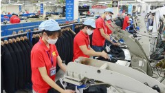 Ample room for&nbsp;Vietnamese goods to win Trans-Pacific Partnership markets