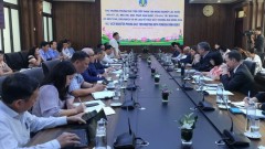 Measures sought to remove barriers for meat imports