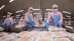 Seafood exports to boom in year-end despite headwinds: Experts