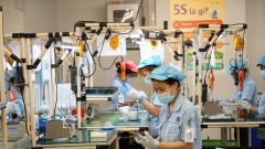Better links with FDI firms to support Hanoi businesses