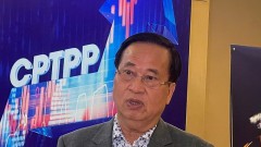 Focus on sustainable development, greening the textile industry