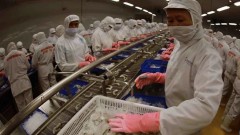 Vietnam needs to diversify supply chains for sustainable growth: economists