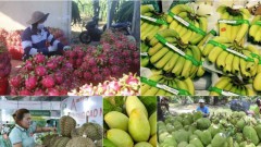 Vietnam’s agro-forestry-aquatic product exports likely to set new record