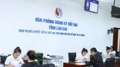 Vietnam makes bold step to improve business climate: VCCI report