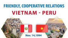Vietnam, Peru deepen friendly, cooperative relations