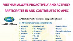 Vietnam actively contributes to APEC