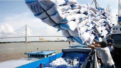 Vietnam to set new record in rice exports in 2024