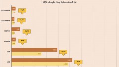 A “picture” of bank profits in the first nine months of 2024