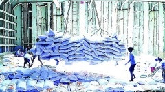 Agricultural, forestry and fishery trade surplus value shoots up