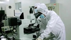 Vietnam: A global magnet for scientific talent