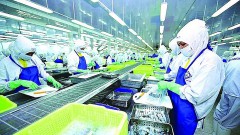 New step in tracing seafood origin, meeting export requirements