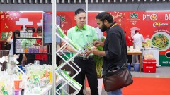 Agricultural and food businesses benefit from green production