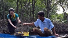 Southernmost Ca Mau province moves to fully tap tourism potential