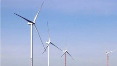 PM issues directive on accelerating national green growth strategy
