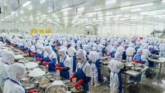 Why are seafood exports to some Middle Eastern countries blocked?