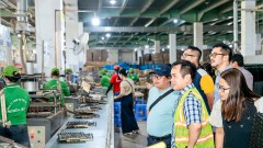 Efficiency in emission reduction and sustainable development for wood enterprises