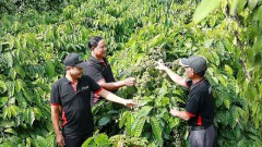 Necessary conditions for operating a "natural flavor" business