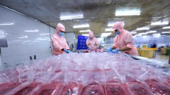 UKVFTA facilitates Việt Nam's tuna exports to UK market
