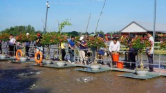 Mekong Delta tourism continues to surge