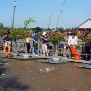 Mekong Delta tourism continues to surge