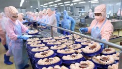 Vietnam needs development of green products exported to UK