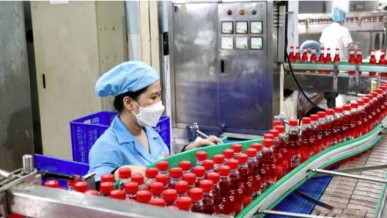 Navigating global trade: Vietnam’s strategies for export success in 2025