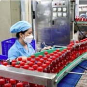 Navigating global trade: Vietnam’s strategies for export success in 2025