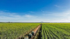 Untying the knot for green finance
