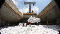 Building a brand to elevate Vietnamese rice