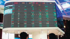 Opportunities to attract foreign capital in 2025