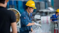 Vietnam's economy: Flexible and reasonable fiscal policy