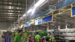 Tax policies drive strong economic recovery and growth