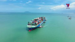 Logistics firms optimistic about growth prospects in 2025