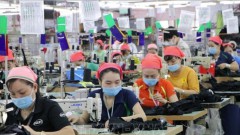 Businesses supported to develop green practices