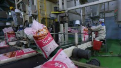 Rice export sets new record in 2024, but 2025 expected to be tough