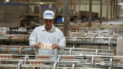 Closing the Loop: Circular economy within reach
